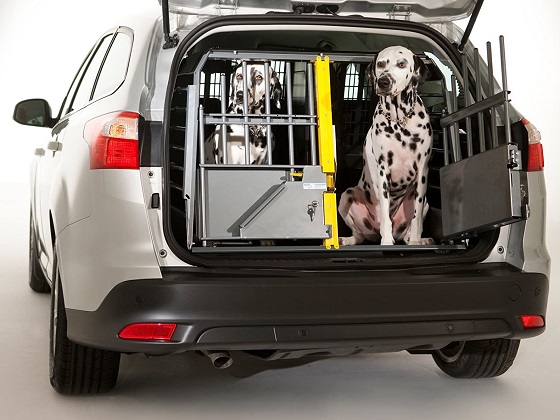 large-dog-car-crate