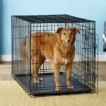 large-dog-crate-with-divider