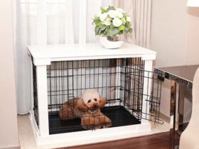 large-whiite-dog-crate