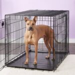 large-wire-dog-crate