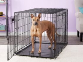 large-wire-dog-crate