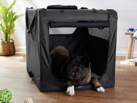 lightweight-dog-crate