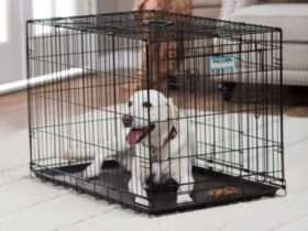 locking-lockup-dog-crate