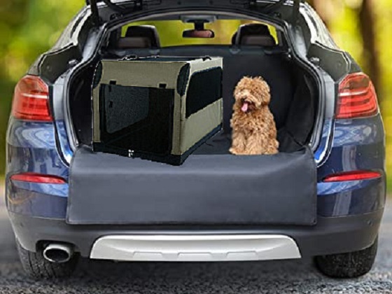 medium-dog-travel-crate