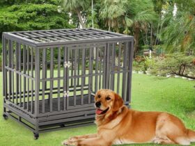 medium-metal-dog-crate