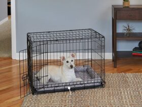 medium-wire-dog-crate