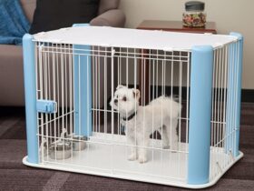 mesh-dog-crate
