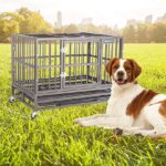 military-working-dog-crates