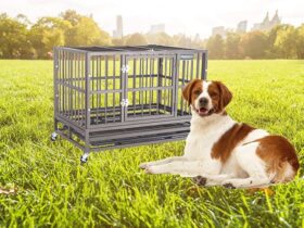 military-working-dog-crates
