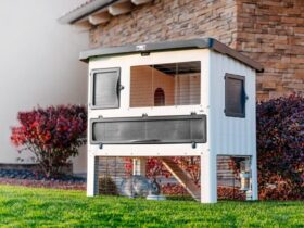 outdoor insulated rabbit hutch