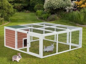 outdoor rabbit hutch with run