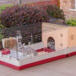 rabbit breeder cage