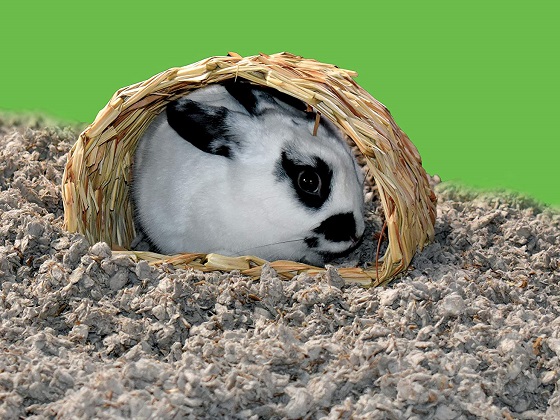 rabbit cage bedding