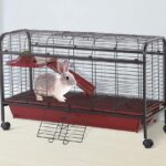 rabbit cage on wheels