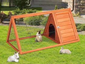 rabbit hutch with run