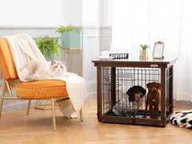 small-dog-training-crate