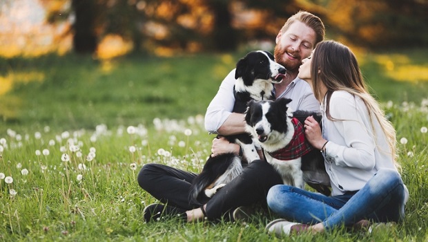 A Dog Boosts Your Mood