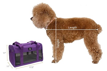 BEST AIRLINE APPROVED FASHION DOG CRATE