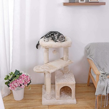 BEST CARPETED CAT TREE FOR SENIOR CATS