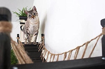 BEST CAT WALL JUNGLE GYM BRIDGE