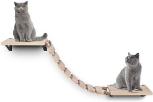 Best 6 Cat Jungle Gym Wall Mounted Models For Sale In 2022