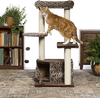 BEST CONDO CAT TREE FOR SENIOR CATS