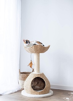 BEST CORNER BOHO CAT TREE