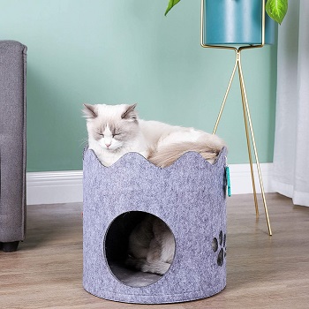 BEST CUTE CAT SCRATCHER CONDO