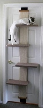 BEST DOOR CAT CLIMBING STRUCTURE