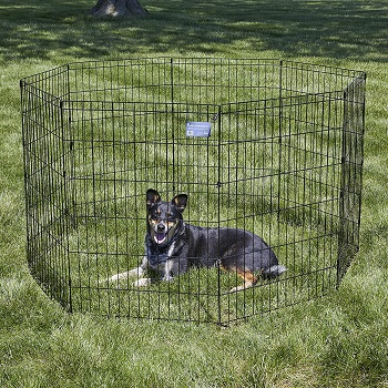 BEST FOLDING DOG CRATE PLAYPEN