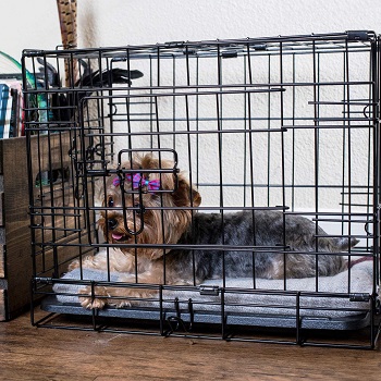 BEST FOLDING X SMALL DOG CRATE