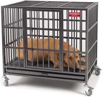 BEST HEAVY DUTY DOG CAGE FOR PITBULL