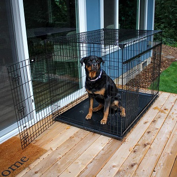 BEST INDOOR CRATE DIVIDER PANEL WITH DOOR