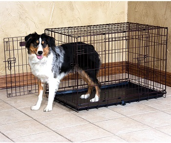 BEST INDOOR EXPANDABLE DOG CAGE