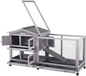 Best 6 Multiple Rabbit Hutches To Use Outdoor & Indoor 2022