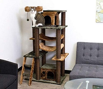 BEST JUNGLE GYM CAT CONDO WITH HAMMOCK