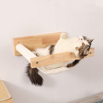 BEST LARGE CATS CAT CLIMBING SHELVES