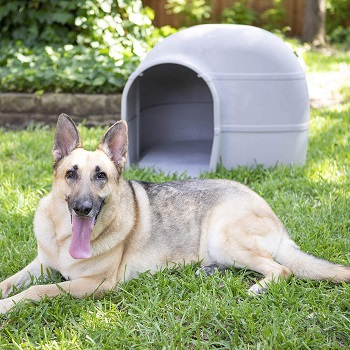 BEST LARGE DOG HOUSE CRATE