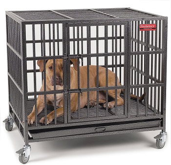 BEST MEDIUM HEAVY DUTY DOG CRATE FOR SEPARATION ANXIETY