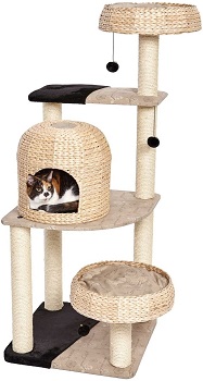 Top 6 Attractive Cat Trees To Jump And Climb Indoor & Otdoor