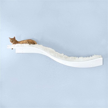 BEST MODERN CAT CLIMBING WALL SHELVES