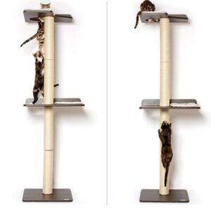 View of Top 6 Cat Climbing Structures For Outdoor & Indoor Pets 2022