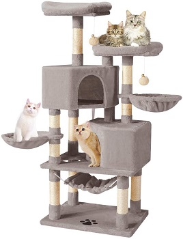 BEST MULTI-CAT CONDO WITH HAMMOCK