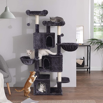 BEST MULTI-CAT SENIOR CAT TREE