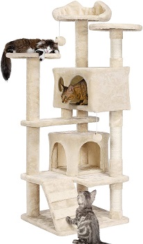 BEST MULTI-LEVEL CAT CONDO HOUSE