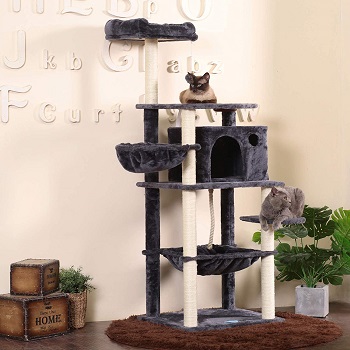 BEST MULTI-LEVEL CAT TREE FEEDER