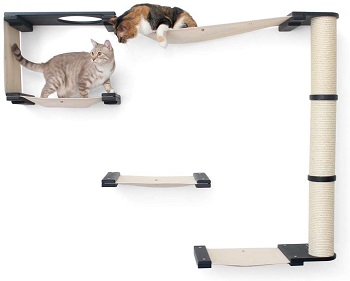 BEST MULTI-LEVEL CAT WALL JUNGLE GYM