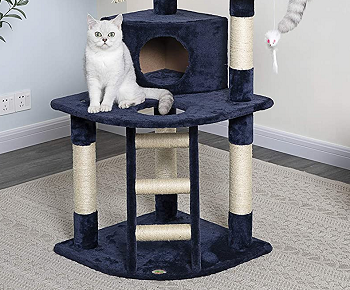 BEST OF BEST ATTRACTIVE CAT TREE