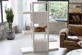 BEST OF BEST CAT BOOKCASE