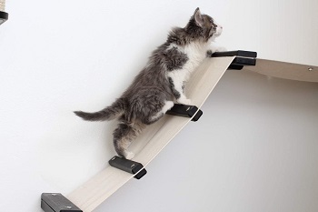 BEST OF BEST CAT CLIMBING STRUCTURE